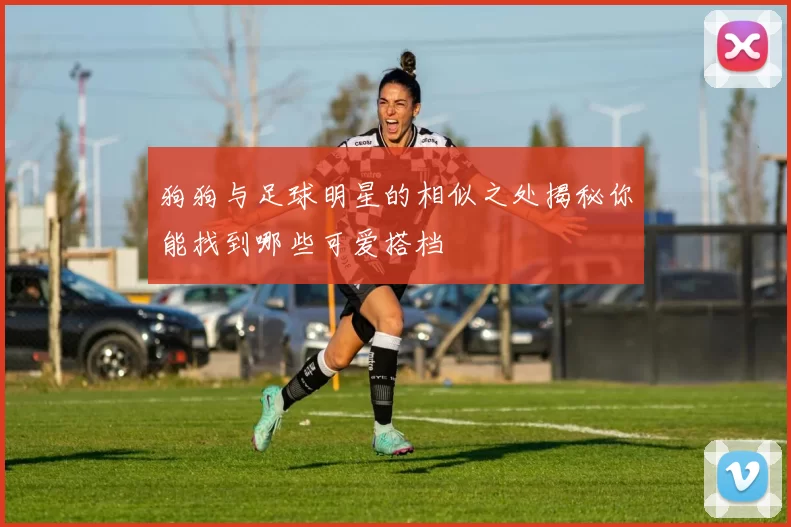 狗狗与足球明星的相似之处揭秘你能找到哪些可爱搭档