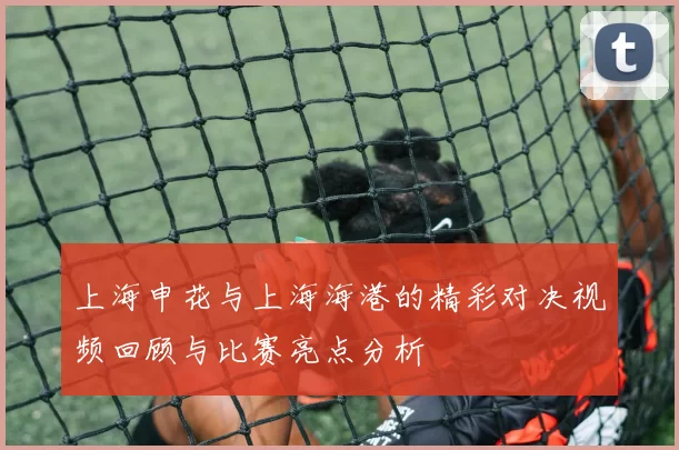 上海申花与上海海港的精彩对决视频回顾与比赛亮点分析