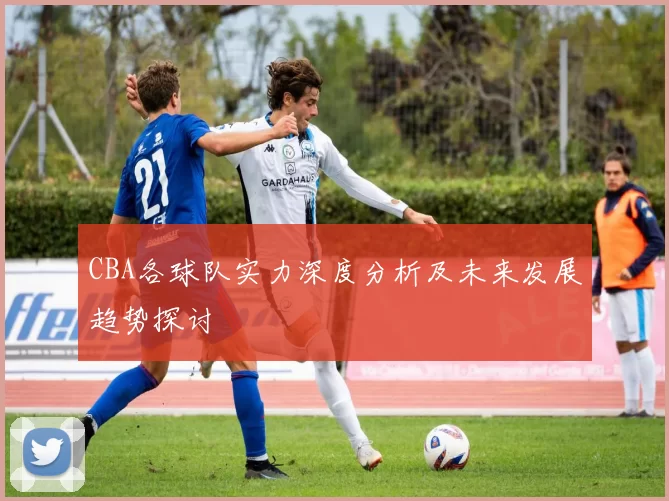 CBA各球队实力深度分析及未来发展趋势探讨