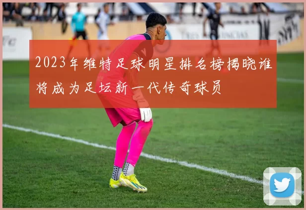 2023年维特足球明星排名榜揭晓谁将成为足坛新一代传奇球员